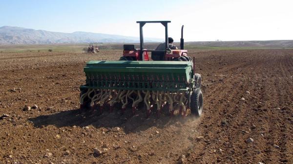 کشت غلات در 18 هزار هکتار از مزارع کشاورزی بوئین زهرا